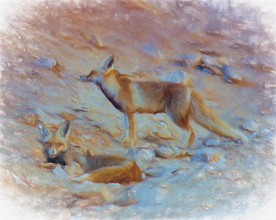 Egyptian Red Fox 2 Digital Art by Roy Pedersen