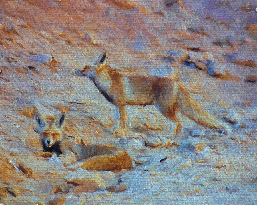 Egyptian Red Fox Digital Art by Roy Pedersen