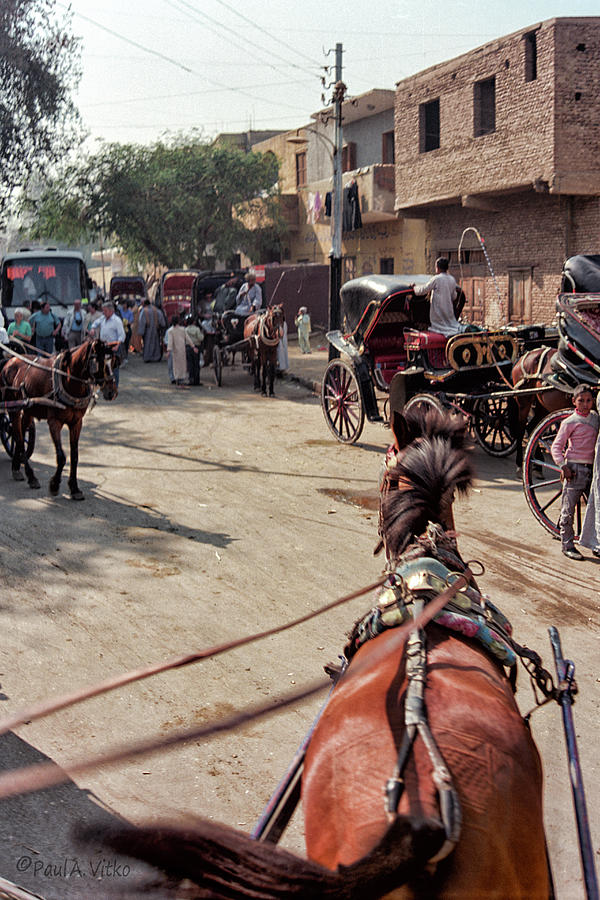 Egyptian street carriage view.... Photograph by Paul Vitko