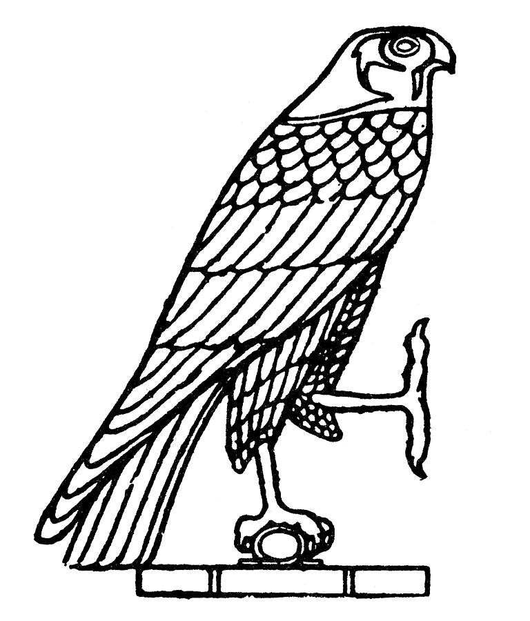 egyptian falcon drawing
