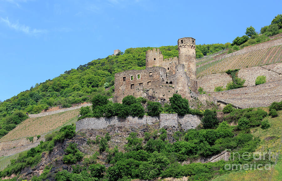 Ehrenfels Castle Rhine Gorge Germany Photograph by Louise Heusinkveld