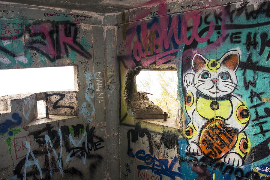 Ehukai Pillbox 2 Inside Photograph By Debra Casey - Pixels