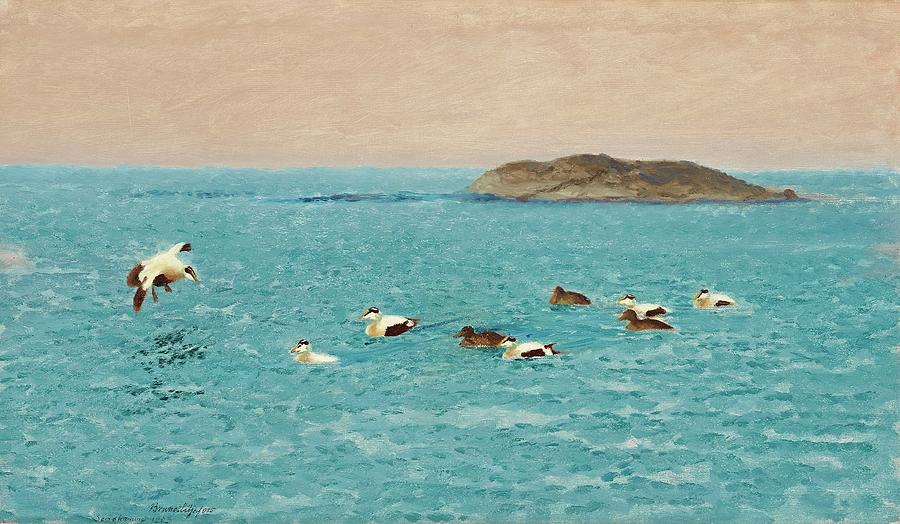 Eider Ducks Painting by Bruno Liljefors