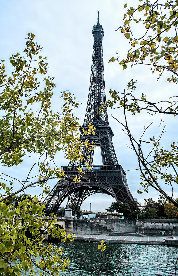 Eiffel on the Quai Photograph by PatriZio M Busnel