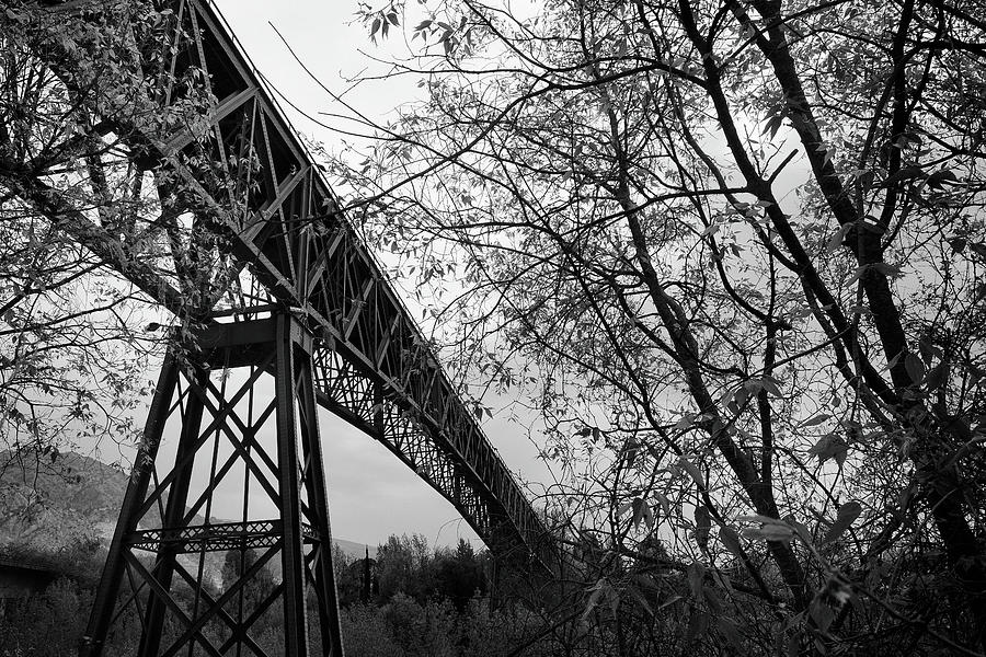 Nature Photograph - Eiffel. The Mystery train bridge. BW  by Guido Montanes Castillo