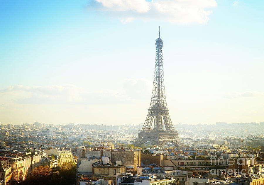 Eiffel Tour And Paris Roofs Photograph