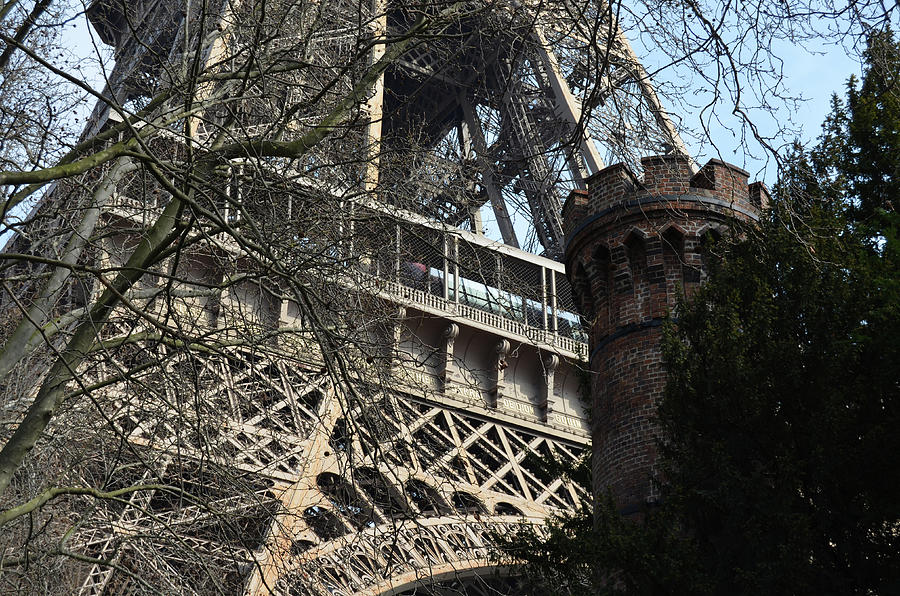 Eiffel Tower First Floor through Branches with Castellated Tower in Foreground Photograph by Shawn OBrien