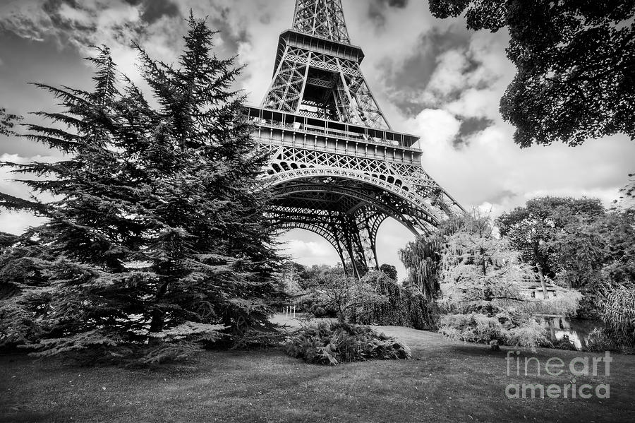 Eiffel Tower from Champ de Mars park in Paris, France. Black and white Photograph by Michal Bednarek