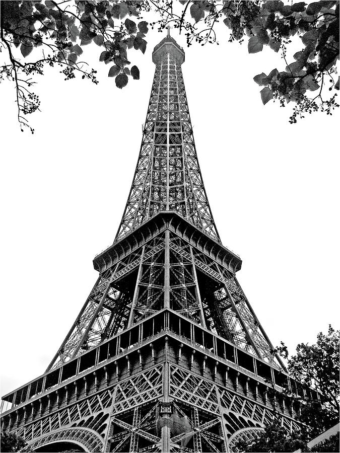 Eiffel Tower in Black and White Photograph by Nikolyn McDonald | Fine ...