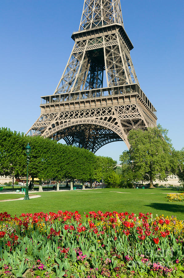 Eiffel Tower in Spring II Photograph by Clarence Holmes