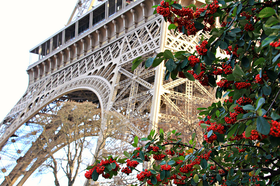 Eiffel Tower In Winter Photograph by KATIE Vigil