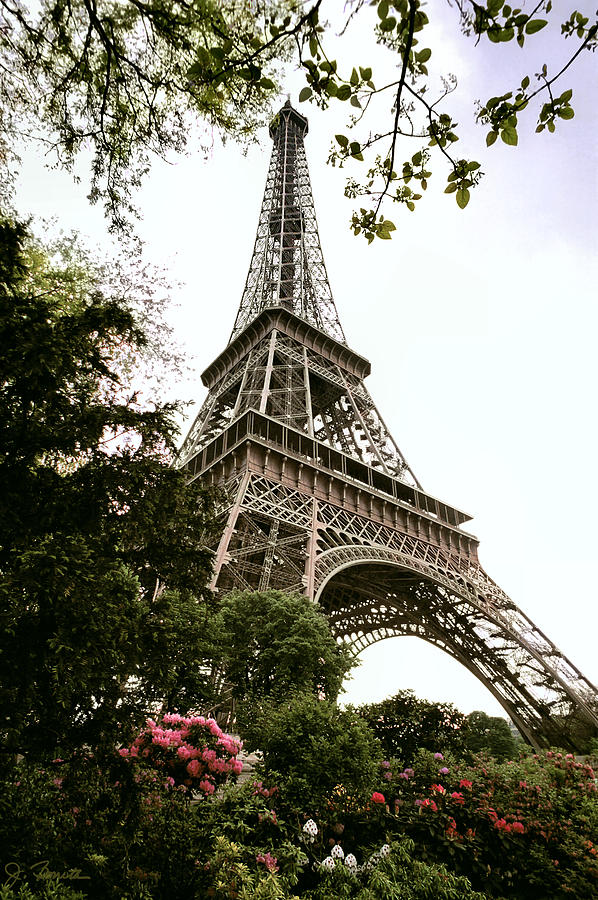 Eiffel Tower Photograph by Joe Bonita