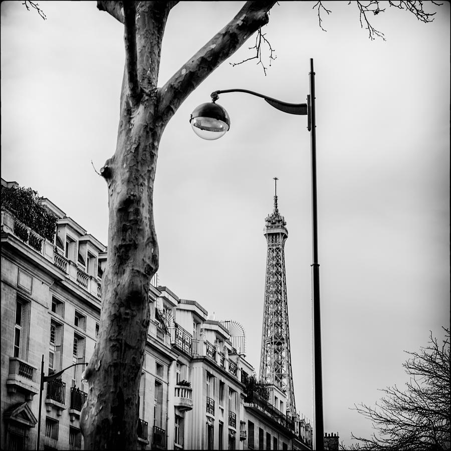 Eiffel Tower Photograph