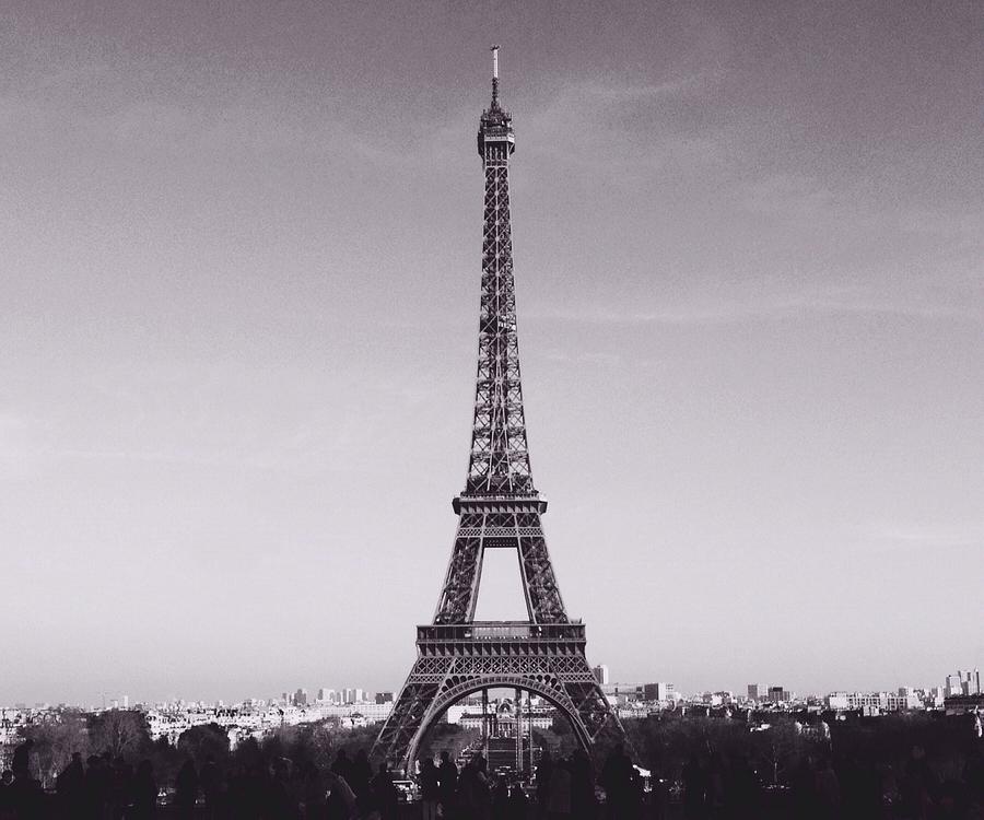 Eiffel Tower  Photograph by Mark Taylor