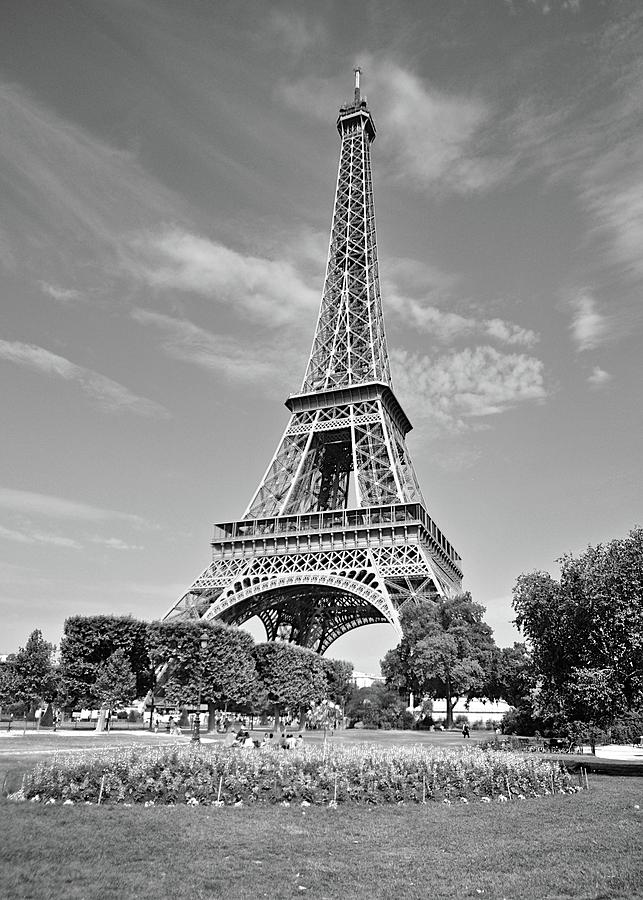 Eiffel Tower Photograph by Matt MacMillan