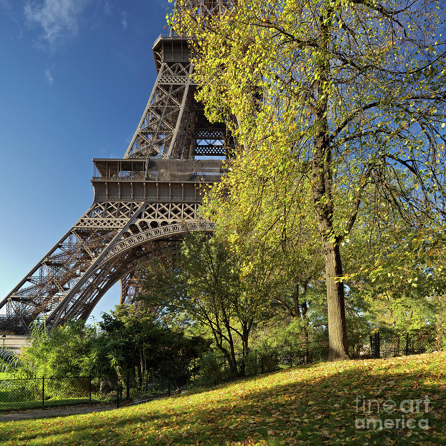 Eiffel Tower, Paris Photograph by David Bleeker