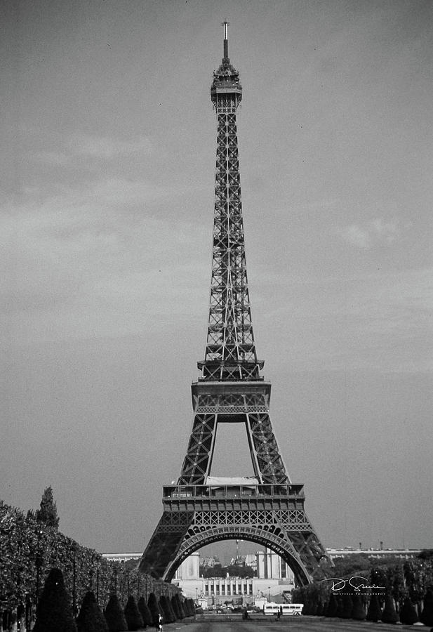 Eiffel Tower Photograph by Steele David - Fine Art America