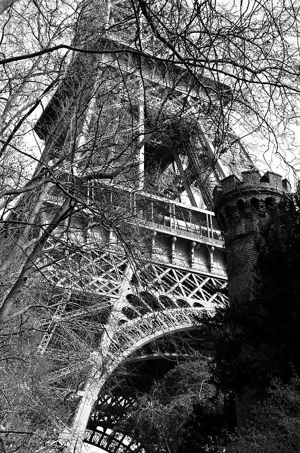 Eiffel Tower through a Maze of Branches with Castle Topped Tower in Foreground Black and White Photograph by Shawn OBrien
