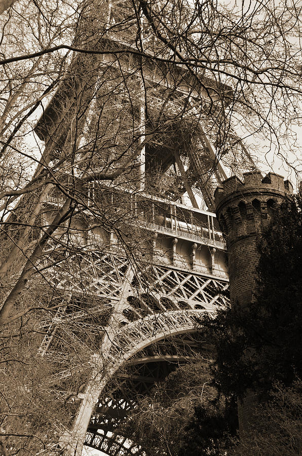 Eiffel Tower through a Maze of Branches with Castle Topped Tower in Foreground Sepia Photograph by Shawn OBrien