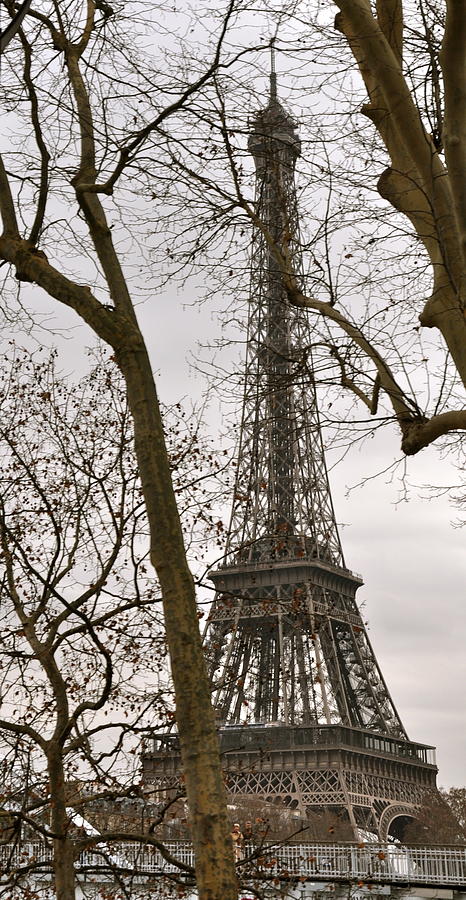 Eiffel Tower Photograph - Eiffel Tower Through Branches by Caroline Reyes-Loughrey