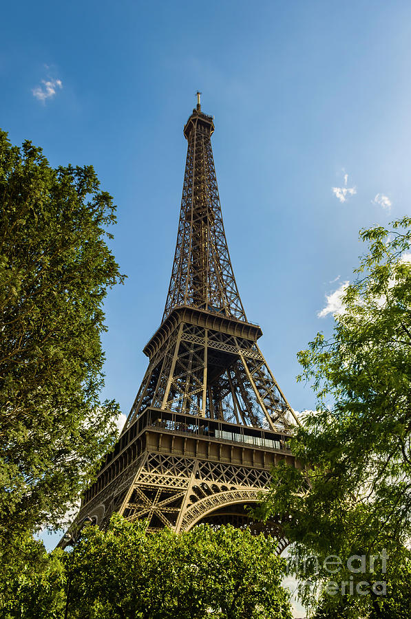 Eiffel Tower Through Trees Photograph by Paul Warburton