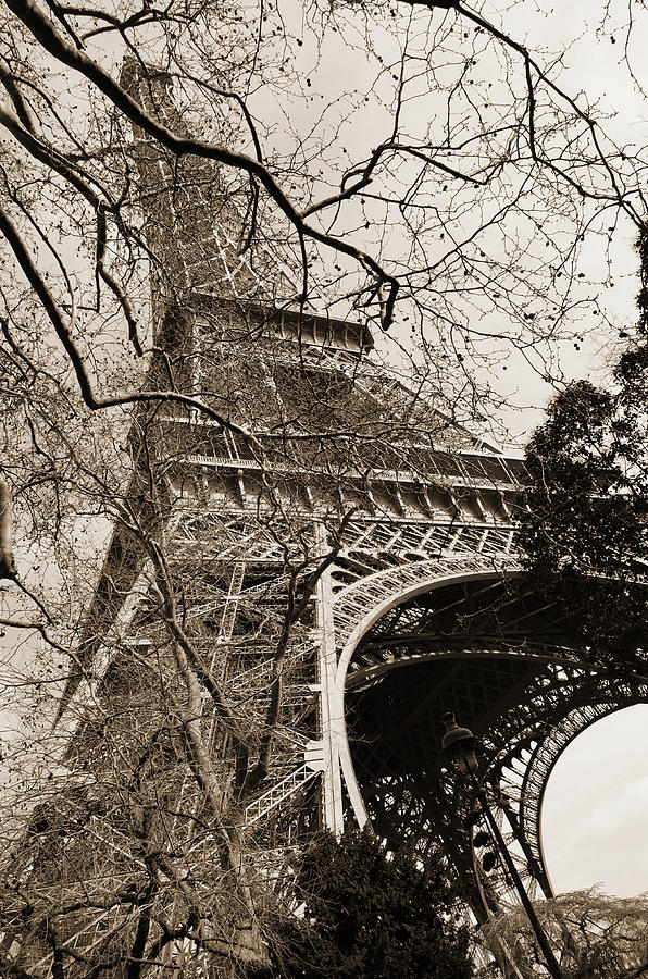 Eiffel Tower Unique View through Tree Branches in Paris France Sepia Photograph by Shawn OBrien