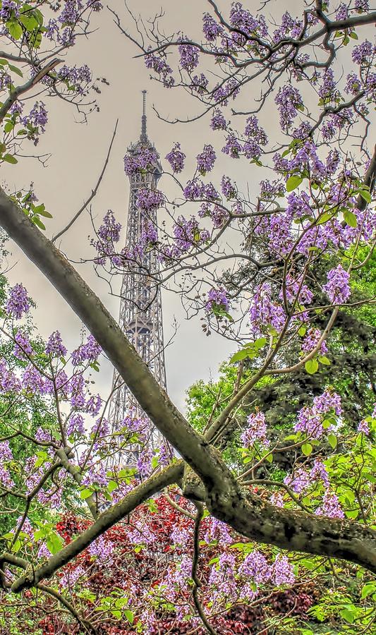 Eiffel Tower Photograph - Eiffel tower with lilacs by Maria Preibsch