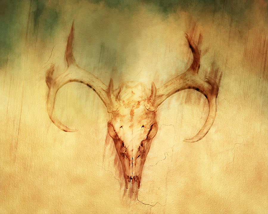 deer skull wallpaper