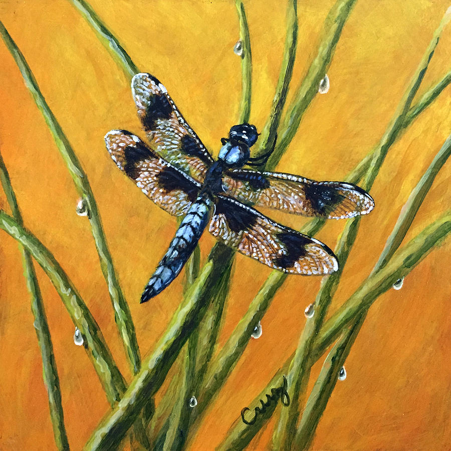 Insects Painting - Eight Spotted Skimmer  by Linda Cruz