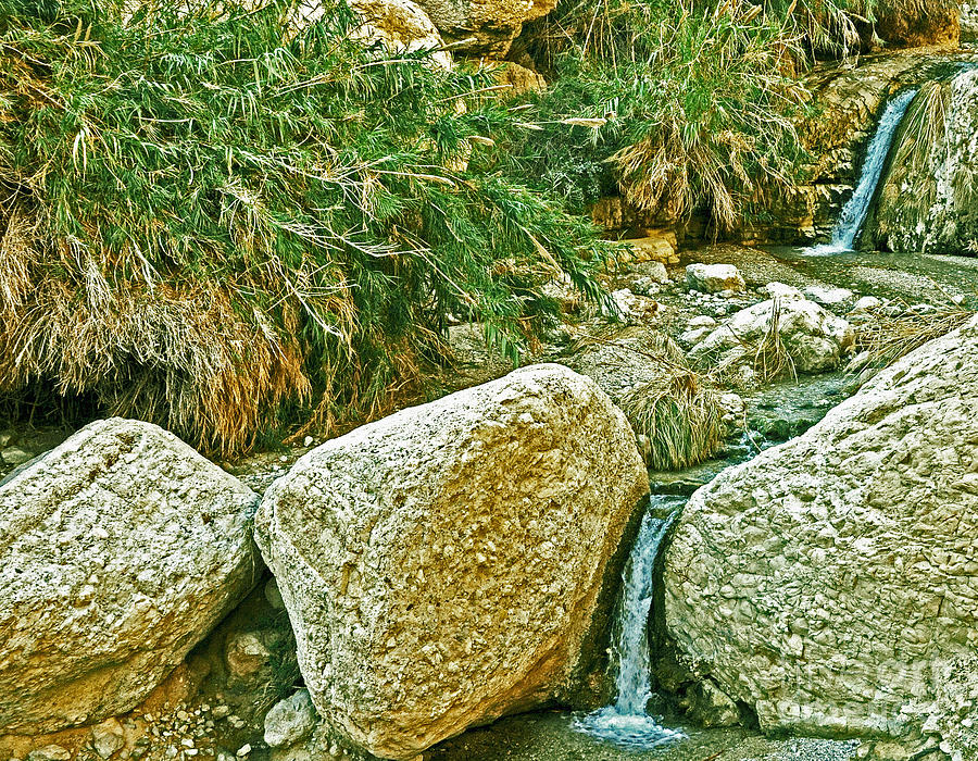 Waterfalls of Ein Gedi Photograph by Lydia Holly