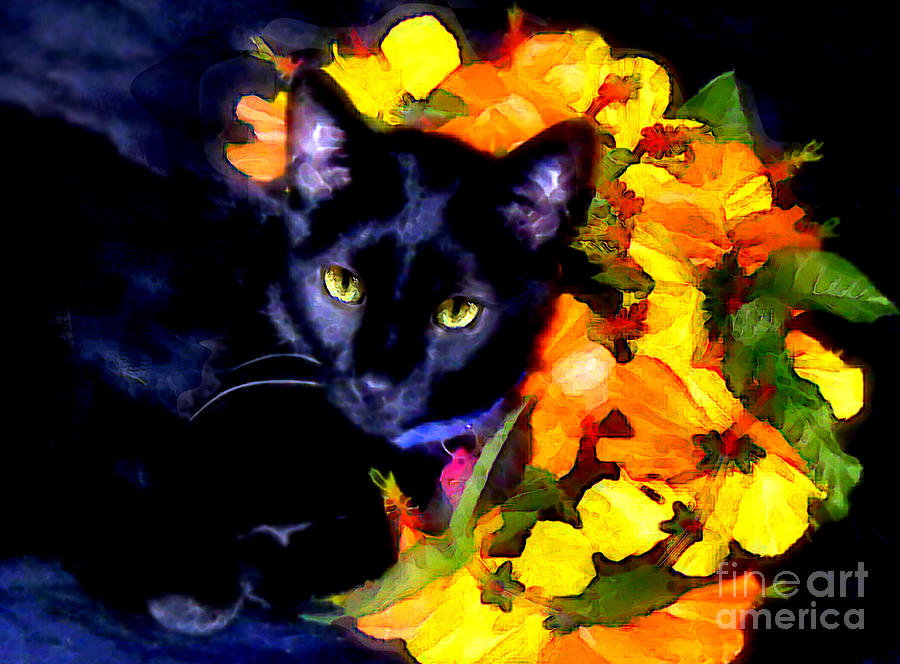 Einstein the Cat by Elinor Mavor Einstein the Cat by Elinor Mavor