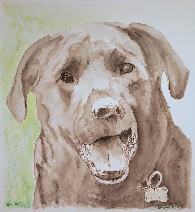 Dogs Painting - Einstein The Lab by Tim Welch Dogs Painting - Einstein The Lab by Tim Welch
