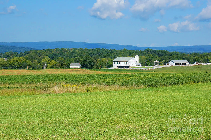Eisenhower Farm, Gettysburg Photograph