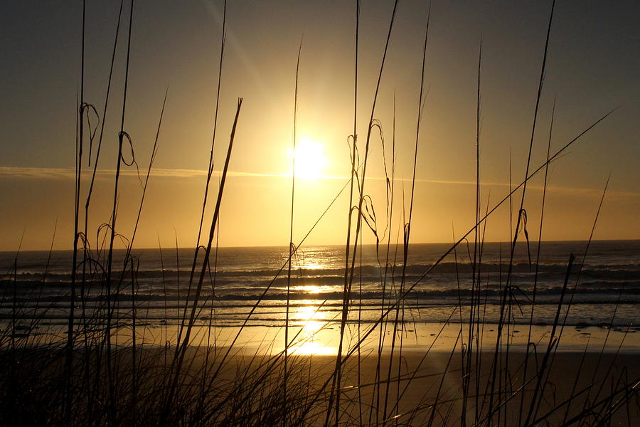 E.J.s Beach Sunrise Photograph by Fiona Kennard