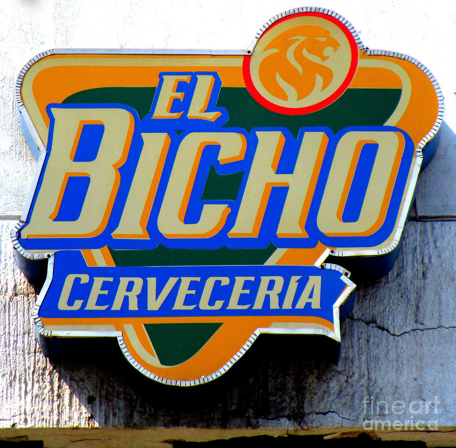 El Bicho Photograph by Randall Weidner