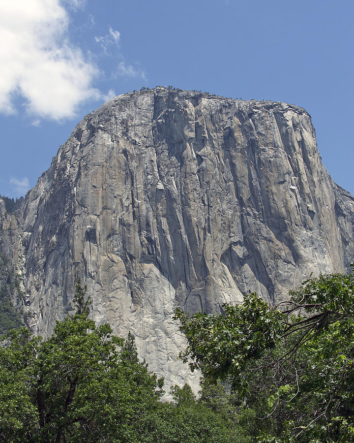 Yosemite National Park Photograph - El Capitan - Yosemite National Park by Brendan Reals