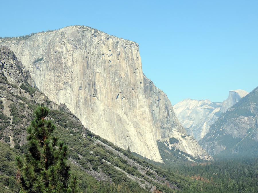 El Capitan 3 Photograph by Eric Forster