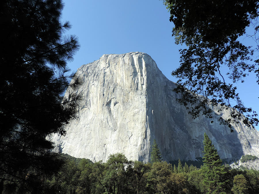 El Capitan 8 Photograph by Eric Forster