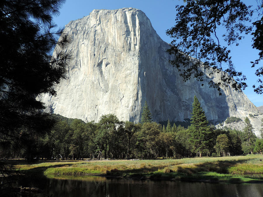 El Capitan 9 Photograph by Eric Forster