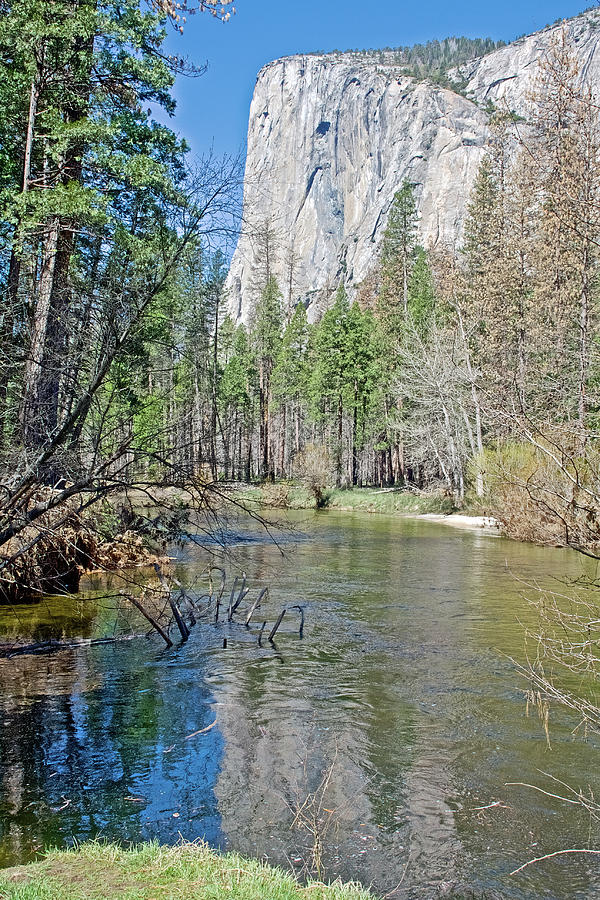 El Capitan above Merced River in Yosemite Valley in Yosemite National Park, California  Photograph by Ruth Hager