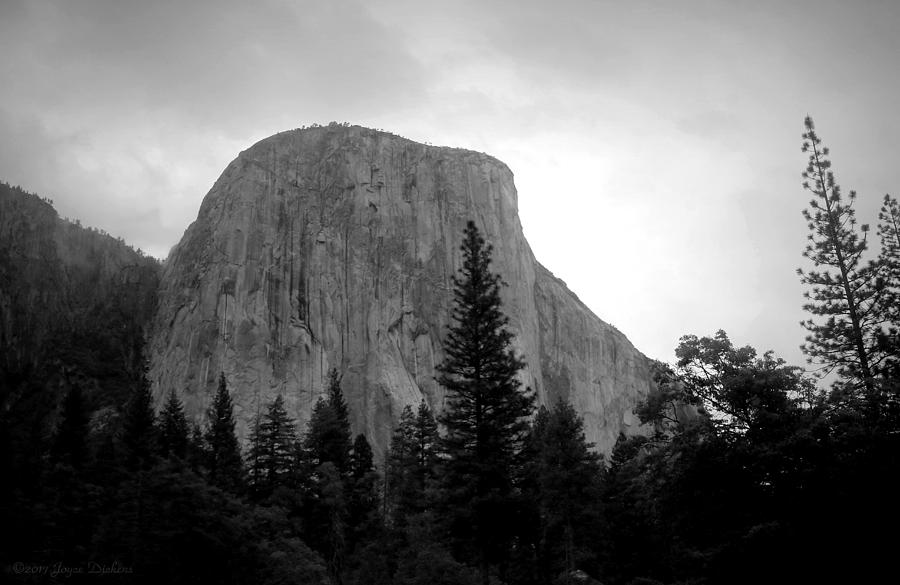 El Capitan Black and White Photograph by Joyce Dickens