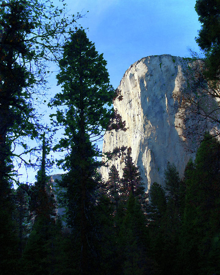El Capitan From the Forest Floor Photograph by Timothy Bulone