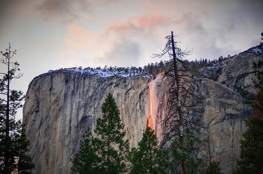El Capitan Glowing Horsetail Falls Photograph by Connie Cooper-Edwards