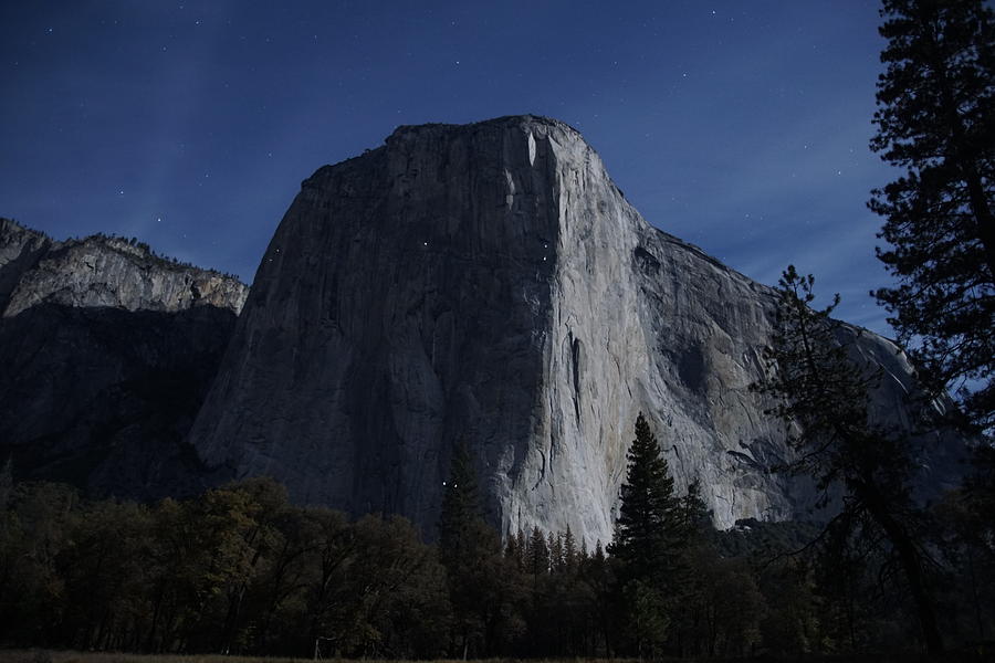 Tree Photograph - El Capitan In Moonlight by Michael Courtney