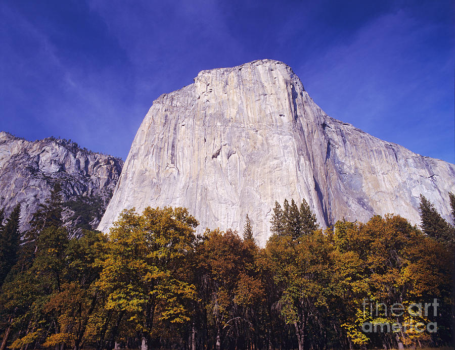 Yosemite National Park Photograph - El Capitan in Yosemite NP by Dennis Flaherty