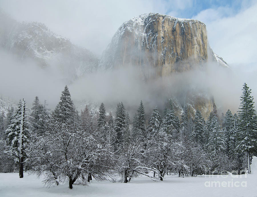 El Capitan Majesty - Yosemite NP Photograph by Sandra Bronstein