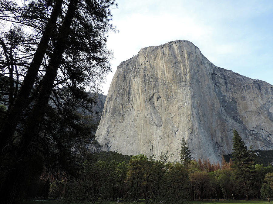 El Capitan Return 2 Photograph by Eric Forster