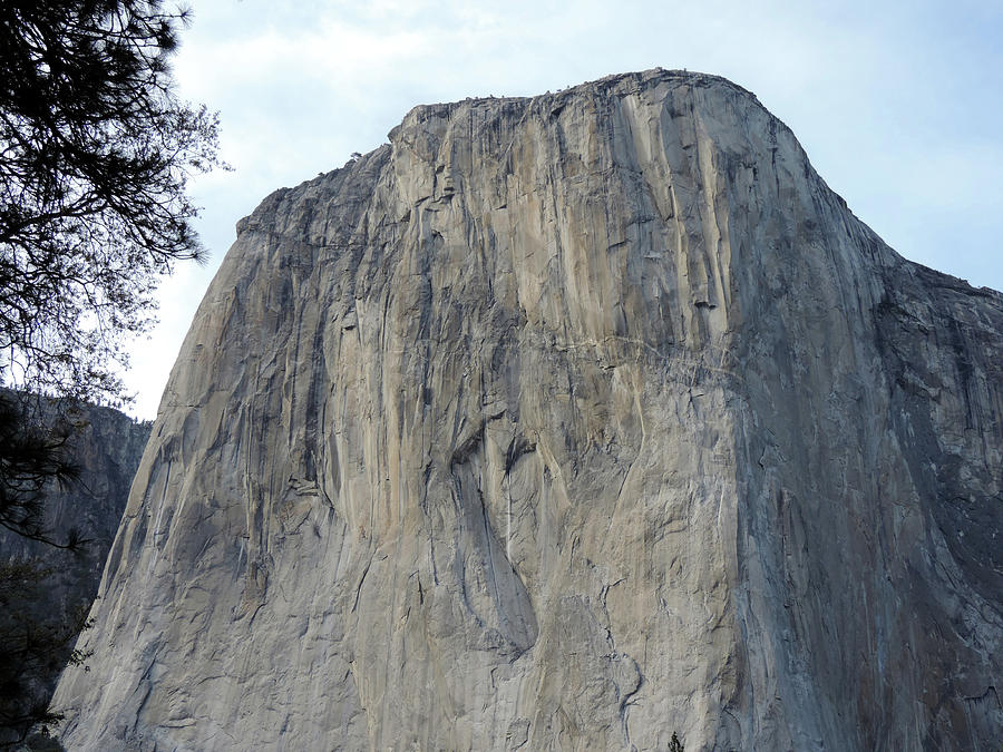 El Capitan Return 3 Photograph by Eric Forster