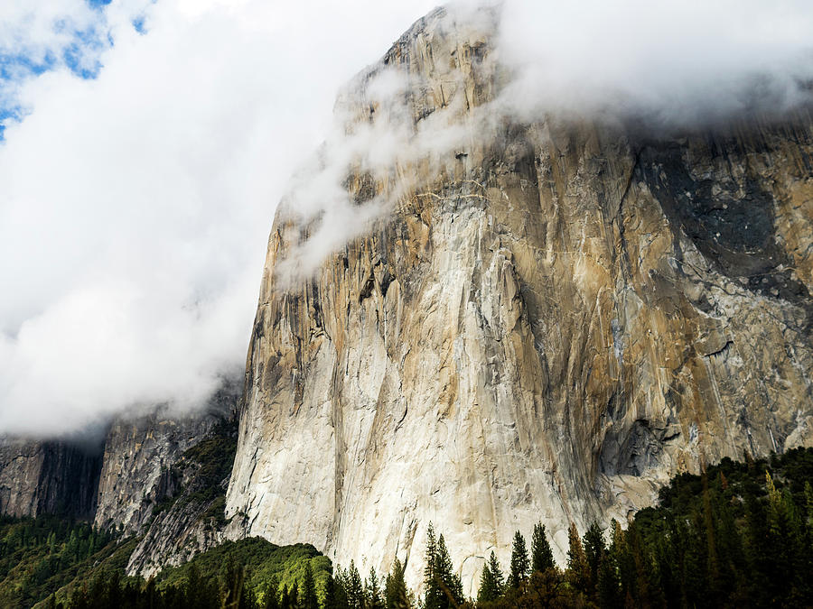 El Capitan Photograph by Tyler Meester - Fine Art America