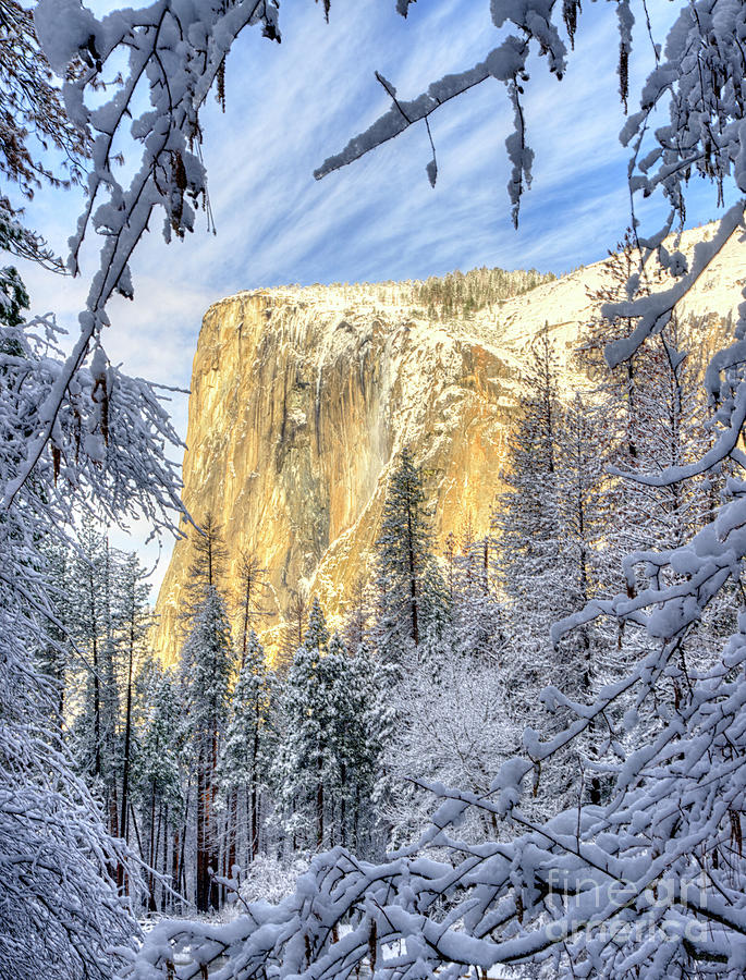 El Capitan Winter Majesty Yosemite National Park Photograph by Wayne Moran